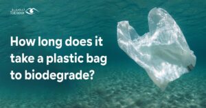 How long does it take a plastic bag to biodegrade