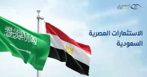 الاستثمارات المصرية السعودية